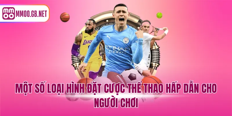 Một số loại hình đặt cược thể thao hấp dẫn cho người chơi