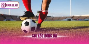 soi kèo bóng đá