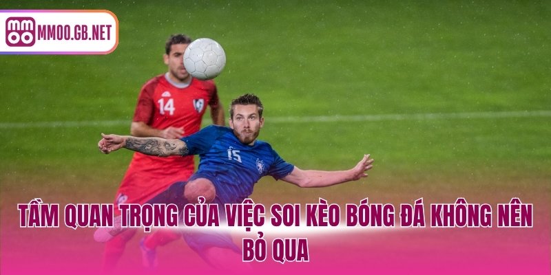 Tầm quan trọng của việc soi kèo bóng đá không nên bỏ qua